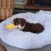 Doug Brough - Facebook
