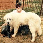 Doug Brower - @doug.brower - Instagram