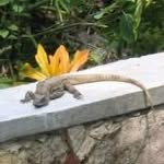 Doug Brownfield - @dbrownfield9 - Instagram