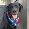 dougbrowning88 - @doug.e.fresh78 - TikTok
