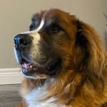 Doug Bruce - @imdougbruce - Instagram