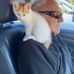 Douglas Bruce - Facebook