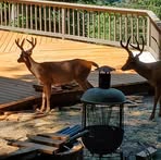 Doug Brumbaugh - Facebook