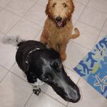Doug Bruns - @dougbruns - Instagram