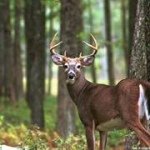 d-brunty13 - @doug_brunty - Instagram