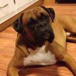 Doug Buchanan - @buchanan.doug - Instagram