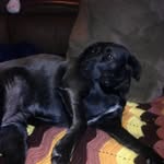 Doug Buck - @doug.buck.568 - Instagram