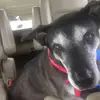 Doug Buckhannon - @dougbuckhannon - TikTok