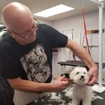 Doug Buckingham - @buckinghamdoug - Instagram