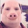 Doug Buckles - @daddybuckles69420 - TikTok