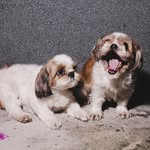 @doug_buddy - Instagram