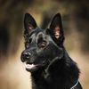 Doug Buddy - @doug.buddy - TikTok