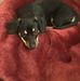Doug Buffington - Facebook