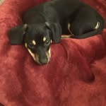 Doug Buffington - @doug.buffington - Instagram