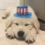 Doug Buford - @bufordtrump - Instagram