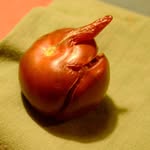 Doug Buis - @doug.buis - Instagram