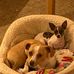Doug Bundy - Facebook