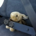 DOUG - @dougbunny - Instagram