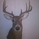 @dougbunner - Instagram