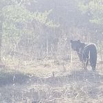 doug bunnell - @excaliber42 - Instagram
