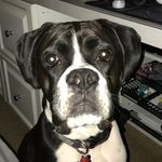 Doug Bunnell - @dbunnell777 - Instagram