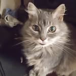 doug burch - @dougburch3069 - Instagram