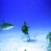 Doug Burch - Facebook