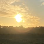 Doug Burch - @doug.burch.733 - Instagram