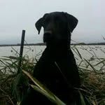 doug burks - @doug_burks - Instagram