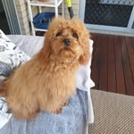 Doug Burnside - @djburnside01 - Instagram