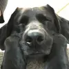 dougcasebolt - @dougcasebolt - TikTok