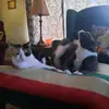 Doug & Cass - @douglas.everdeen - TikTok