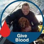 Doug Cassidy - @doug_the_diver - Instagram