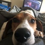 Doug Cates - @cates.doug - Instagram