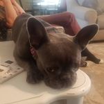 doug chappell - @dougchappell9 - Instagram