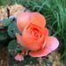 Douglas Chapman Bentonville - Facebook