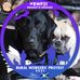 Doug Clapperton - Facebook