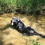 Doug Comer - @fresh32781 - Instagram