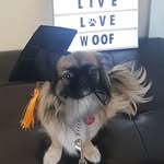 DOUG COMO - @old_fart_wood_shop - Instagram