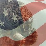 Doug Connell - @connell1365 - Instagram