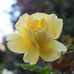 Doug Conner - Facebook