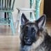 Doug Connor - Facebook