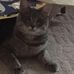 Doug Conrad - Facebook