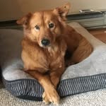 Doug Conrad - @_dougconrad_ - Instagram