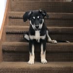 Doug Conway - @dougseefresh - Instagram