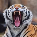 Doug Cooke - @doug.cooke3 - Instagram