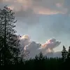 dougcookson - @dougcookson - TikTok