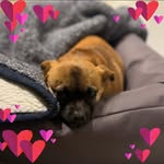 Doug Coons - @dcnv - Instagram