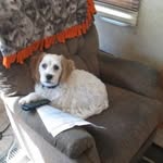 Barb-Doug Beath-Corbin - @corbinbeath - Instagram