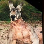 Doug Corbin - @corbod63 - Instagram